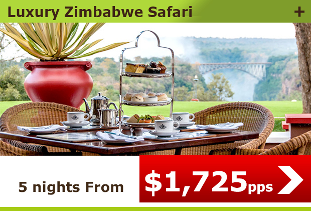 Luxury Zimbabwe Safari